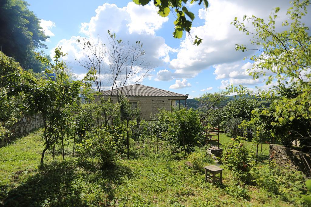 Green House Guest House Kutaisi Zewnętrze zdjęcie